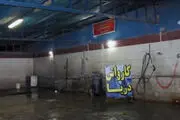 پرونده کارواش دریا هنوز بلاتکلیف است!