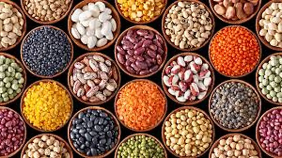 قیمت انواع حبوبات امروز یکشنبه ۱۱ شهریور ۱۴۰۳ 