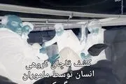  کشف قاچاق گروهی انسان در گمرک/ عکس