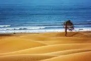 مکانی شگفت انگیز در چابهار/ عکس