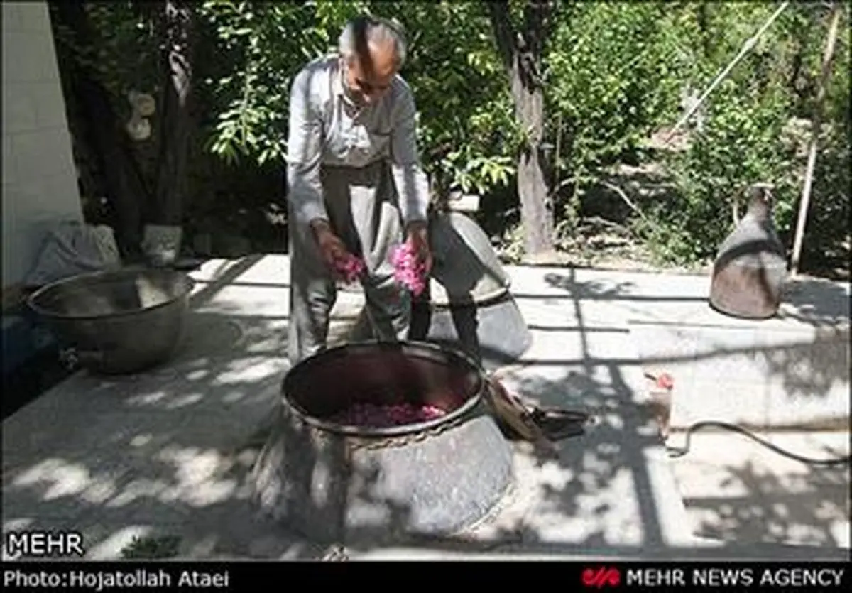 اسامی گلاب و عرقیات گیاهی غیرمجاز