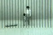 نمایش «سیاه و سفید» راهی لندن می شود