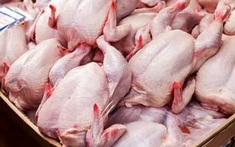 اعلام قیمت جدید گوشت مرغ+ جزئیات
