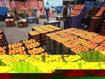 سرنخ ورود میوه‌های قاچاق به کشور