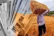 ۱۰۰درصد پول گندم کاران مناطق گرمسیر پرداخت شد/۷همت باقی مانده است
