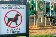  سه دلیل برای ممنوعیت ورود حیوانات به محیط بازی کودکان 