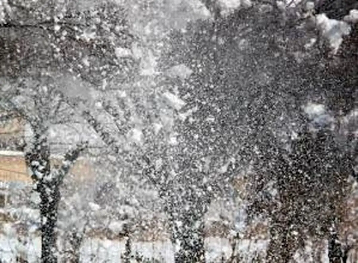 هواشناسی: زمستان گرمی پیشرو داریم