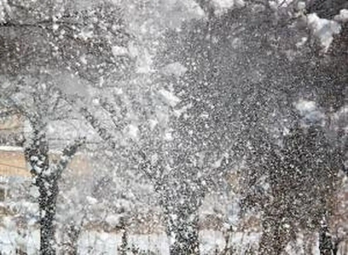 هواشناسی: زمستان گرمی پیش‌رو داریم
