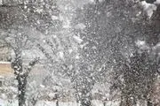 هواشناسی: زمستان گرمی پیش‌رو داریم