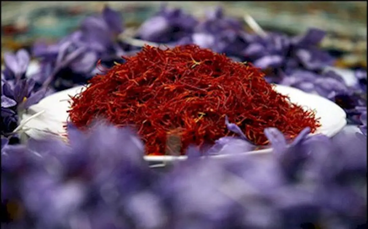 سرمازدگی قیمت زعفران را کاهش داد