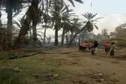 نخل های روستای سرریگ کهنوج طعمه آتش شد