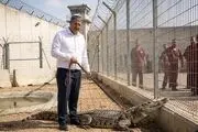 از تسلیحات زنده صهیونیست‌ها علیه فلسطینیان چه می‌دانیم؟