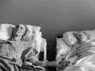 مرگ همزمان یک زوج بعد از ۶۲ سال عاشقی