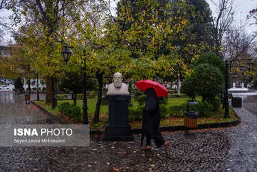 62883187_Javad-Mirhosseini-6562