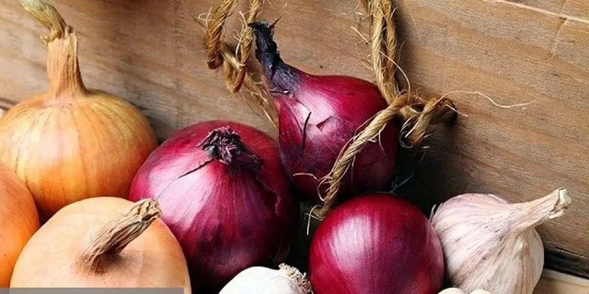 تغذیه مناسب مانع بروز عفونت در بدن می شود