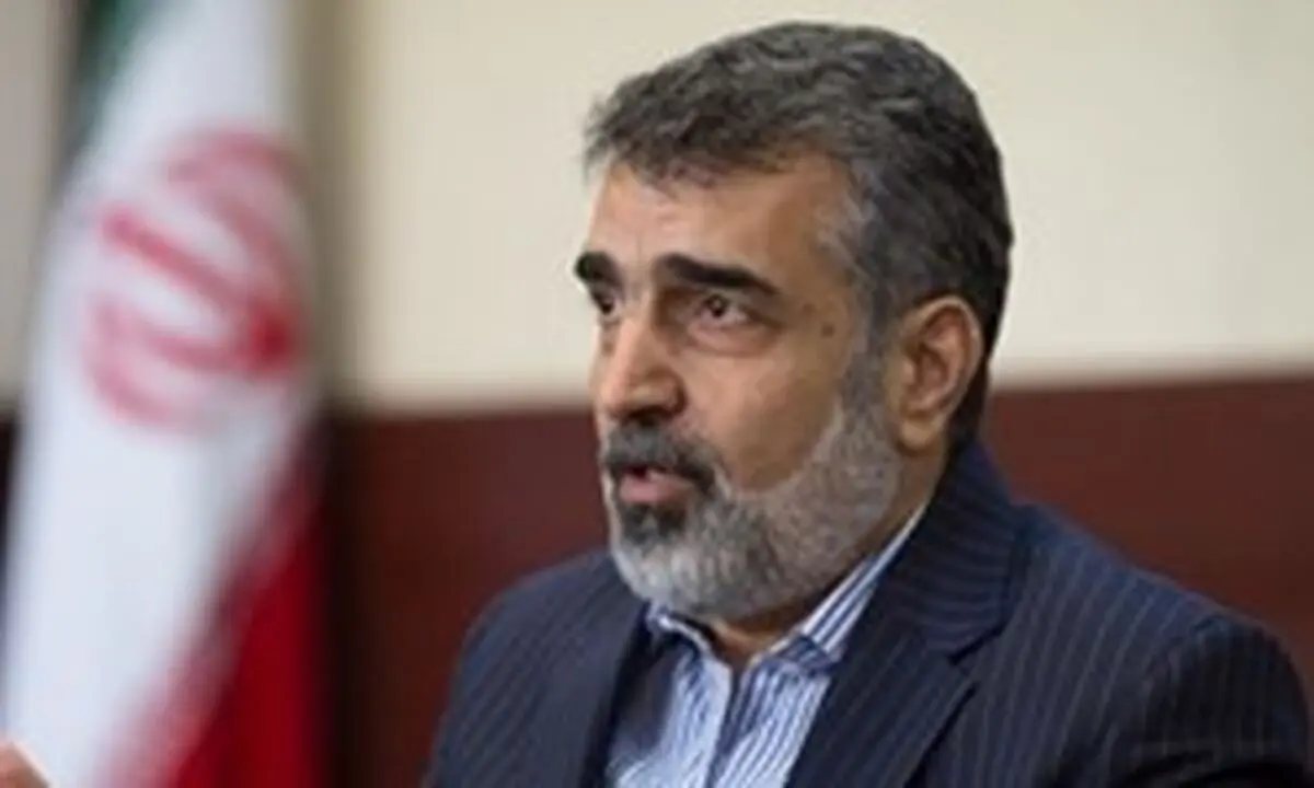 کمالوندی: الان صلاح نیست درباره مواد هسته‌ای به دشمن اطلاعات دهیم
