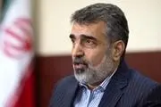 آژانس در جریان کامل اقدامات ایران در مجتمع نطنز است