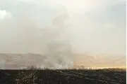 خوشه های گندم، خاکستر شدند