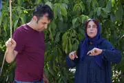 آقای کارگردان: به ماهواره تیزر نداده‌ایم