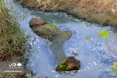 94b2bf6af00d481897770bdb9d33d62c