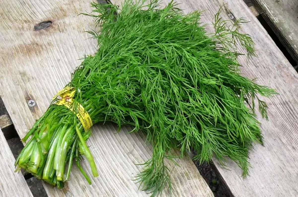 یک دوای طبیعی برای دیابت