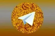 توضیح معاون قوه‌قضاییه درباره تلگرام طلایی