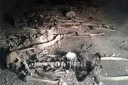 
تبدیل گور دسته‌جمعی کشف شده در خلخال به موزه
