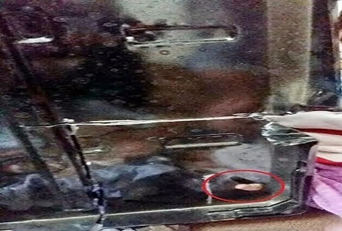 پسر بچه بازیگوش حادثه آفرید + تصاویر