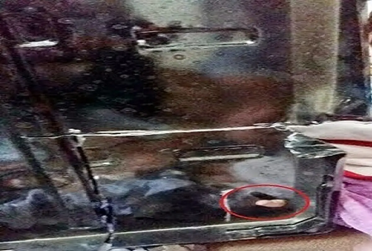 پسر بچه بازیگوش حادثه آفرید + تصاویر
