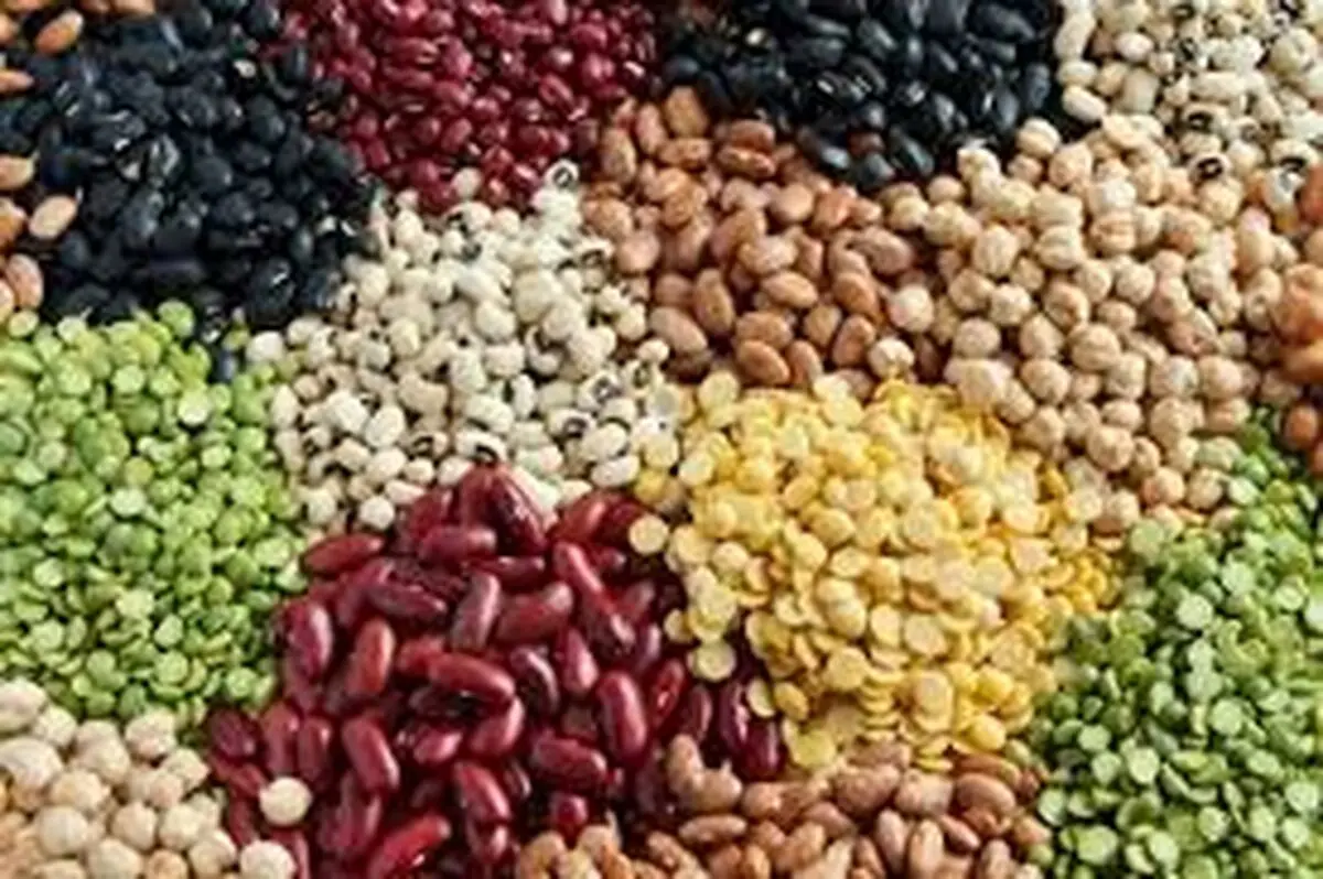 قیمت انواع حبوبات ۲۳ اردیبهشت ۱۴۰۳+ جدول 
