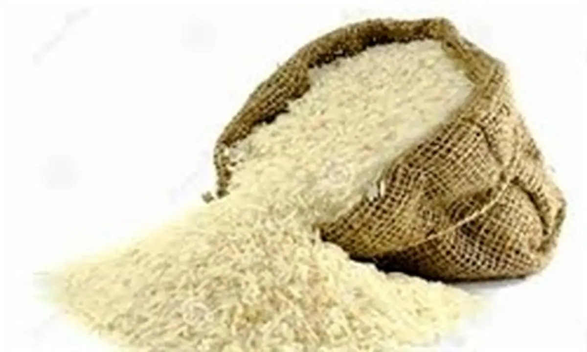 تأیید آلودگی برنجهای وارداتی توسط سازمان غذا و دارو