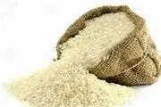 وضعیت سلامت برنج‌های ایرانی و وارداتی بررسی شد