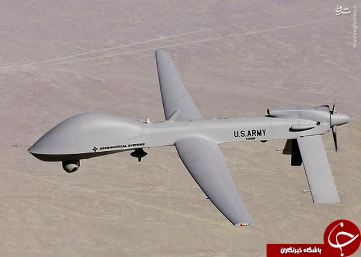 از عقاب خاکستری آمریکایی تا شاهد 129 ایرانی+تصاویر