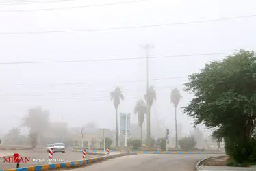 بندر مه آلود