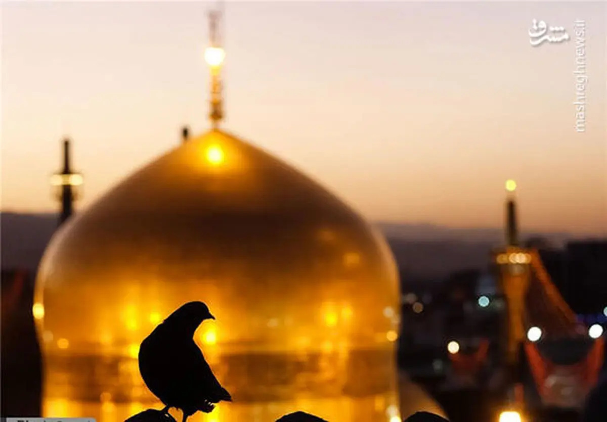 تصویری متفاوت از حرم امام رضا(ع)