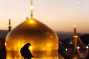امامت و ولایت در کلام «امام رضا(ع)»