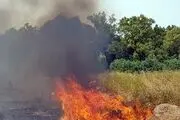راهکار‌هایی برای مهار آتش سوزی در طبیعت + اینفوگرافیک
