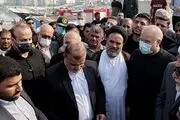 بازدید رئیس مجلس از اسکله صیادی عسلویه