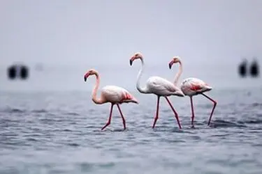 13951214001167636242323812100218_20842_PhotoU