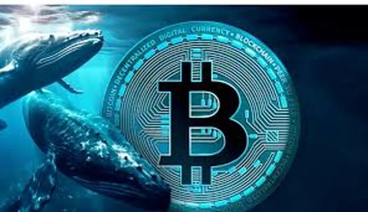 نهنگهای بیت کوین در تپ سواپ: آیا این یک واقعیت است؟