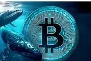 نهنگ‌های بیت کوین در تپ سواپ: آیا این یک واقعیت است؟

