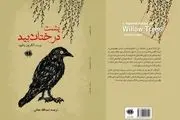 
انتشار یک رمان از پدر ژانر وحشت برای نخستین‌بار در ایران
