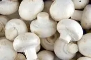 قیمت قارچ اعلام شد