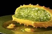 خیار آفریقایی دیده اید؟/ عکس