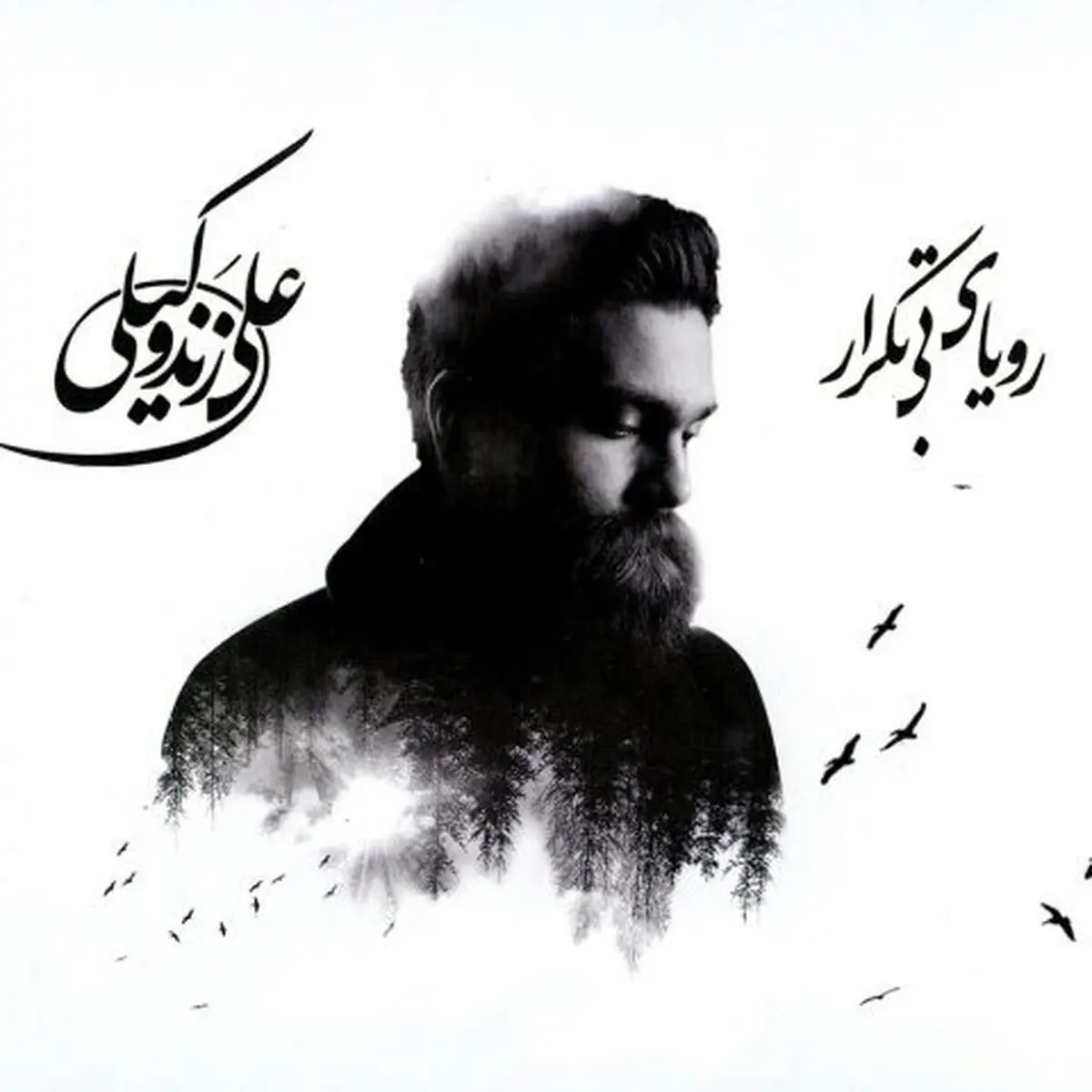 دومین آلبوم علی زندوکیلی به بازار آمد
