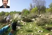 گیاهان خوراکی و دارویی ارتفاعات زاگرس و خطر انقراض آنها
