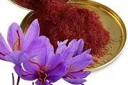 ثبات نسبی قیمت زعفران