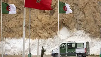 الجزایر: ادعای حضور نیرو‌های ایرانی در صحرای غربی مضحک است