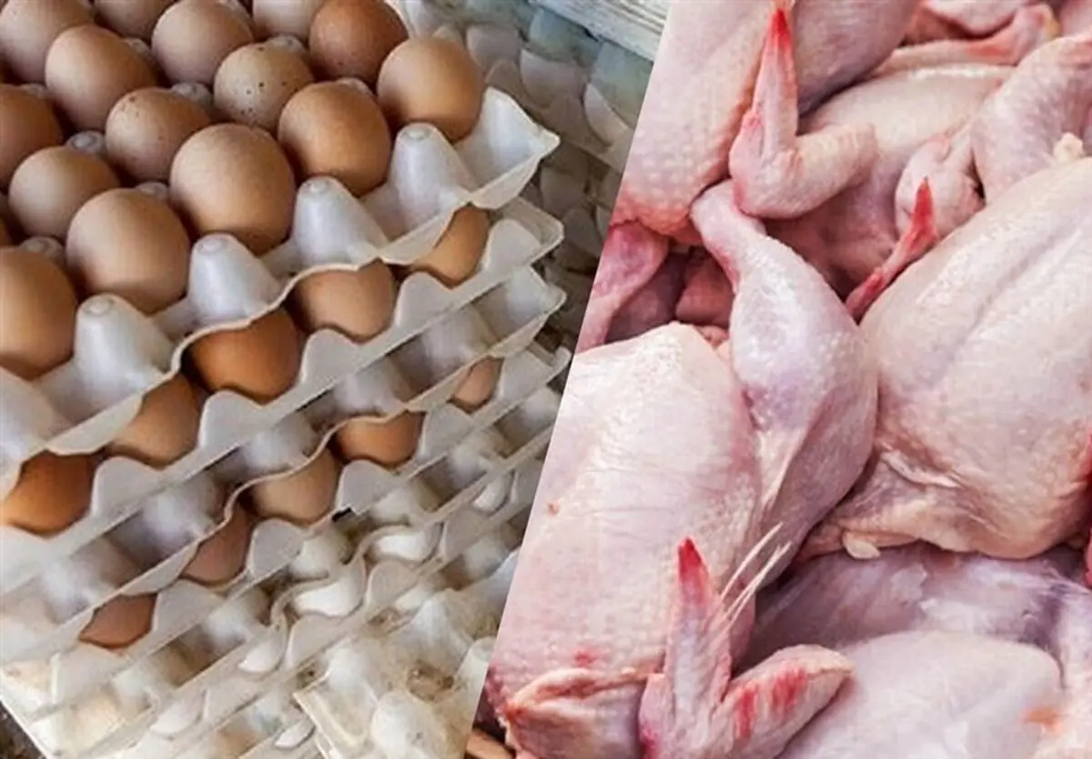 قیمت مرغ، تخم مرغ و گوشت اعلام شد