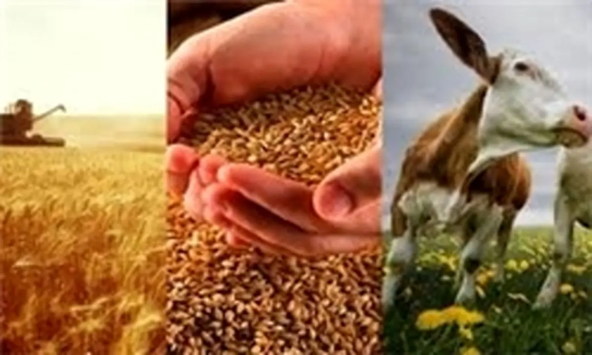 آیا موانع صادرات به اروپا برطرف میشود؟